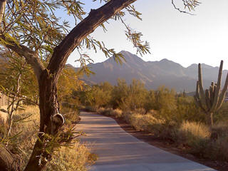 McDowell Mountain, Phoenix, Arizona